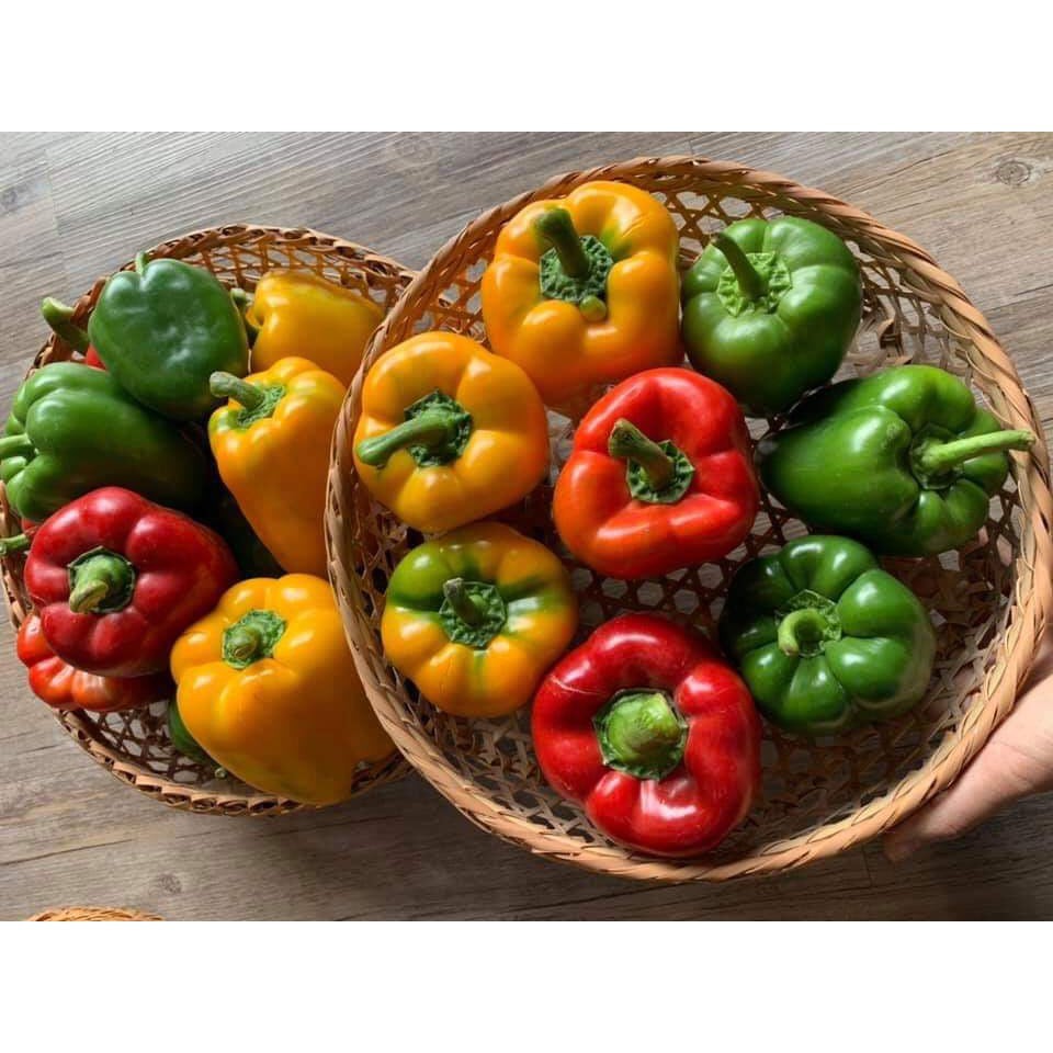 Hạt Giống Ớt Ngọt Nhiều Màu 10 Hạt Hạt Giống Ớt Chuông - Ngọt ,Thơm, Giàu Vitamin