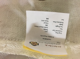 500g Óc Chó Vàng Thượng Hạng – Tốt Cho Tim Mạch & Não Bộ, Ăn Vặt Healthy
