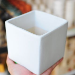 Chậu vuông 12cm