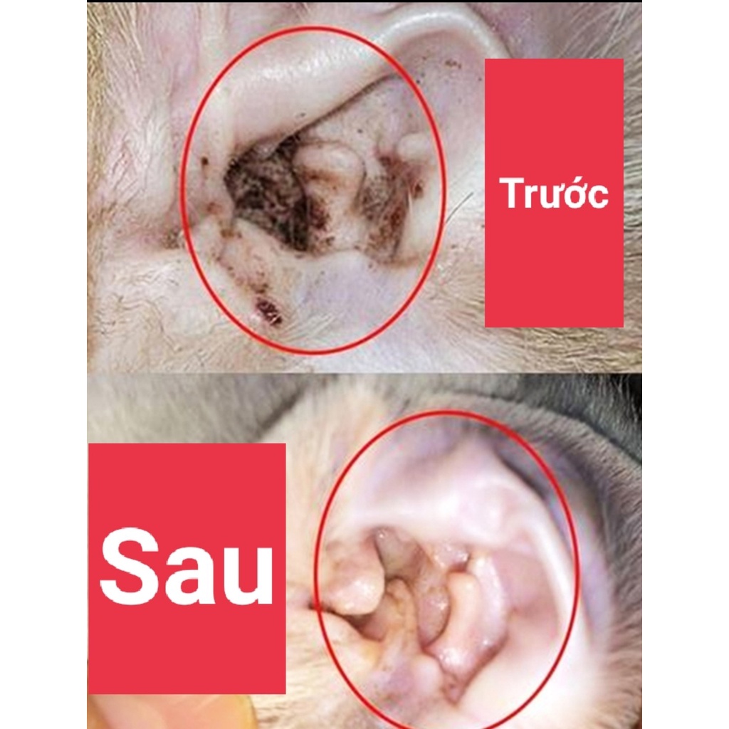 Thuốc Nhỏ tai cho chó mèo Borammy chiết xuất thiên nhiên làm sạch tai ngăn ngừa viêm nhiễm - 60ml