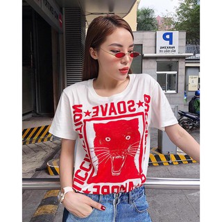 KÍNH VECTOR HOT TREND 2018