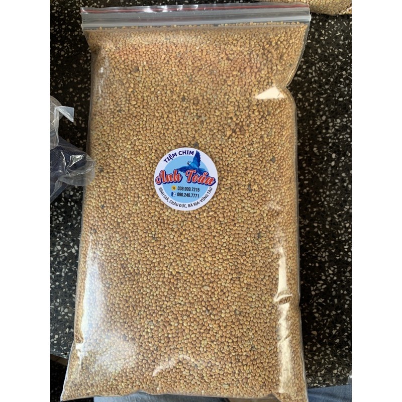 Hạt kê bóng vàng 1kg