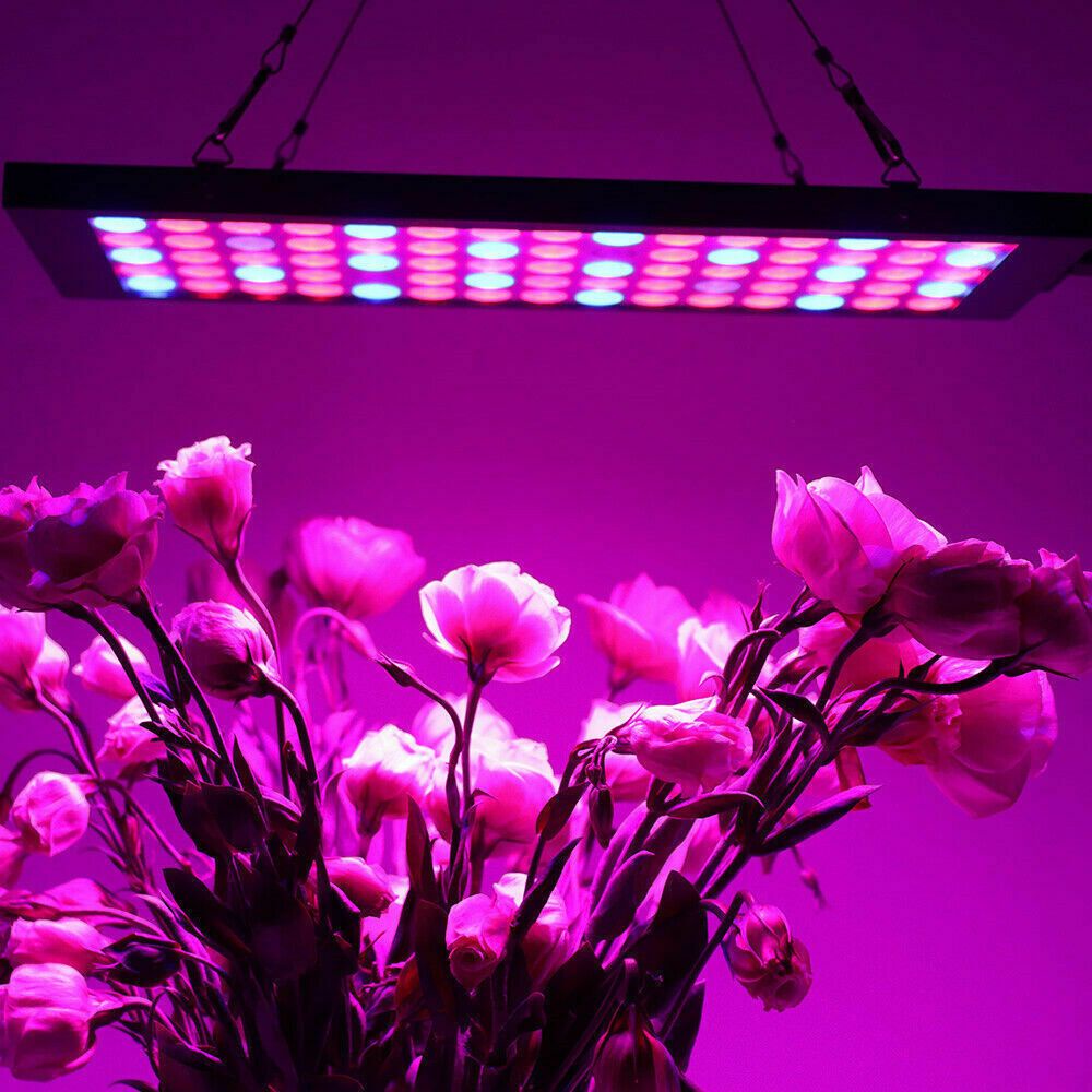 Đèn led trồng cây thủy canh trong nhà 25W 45W