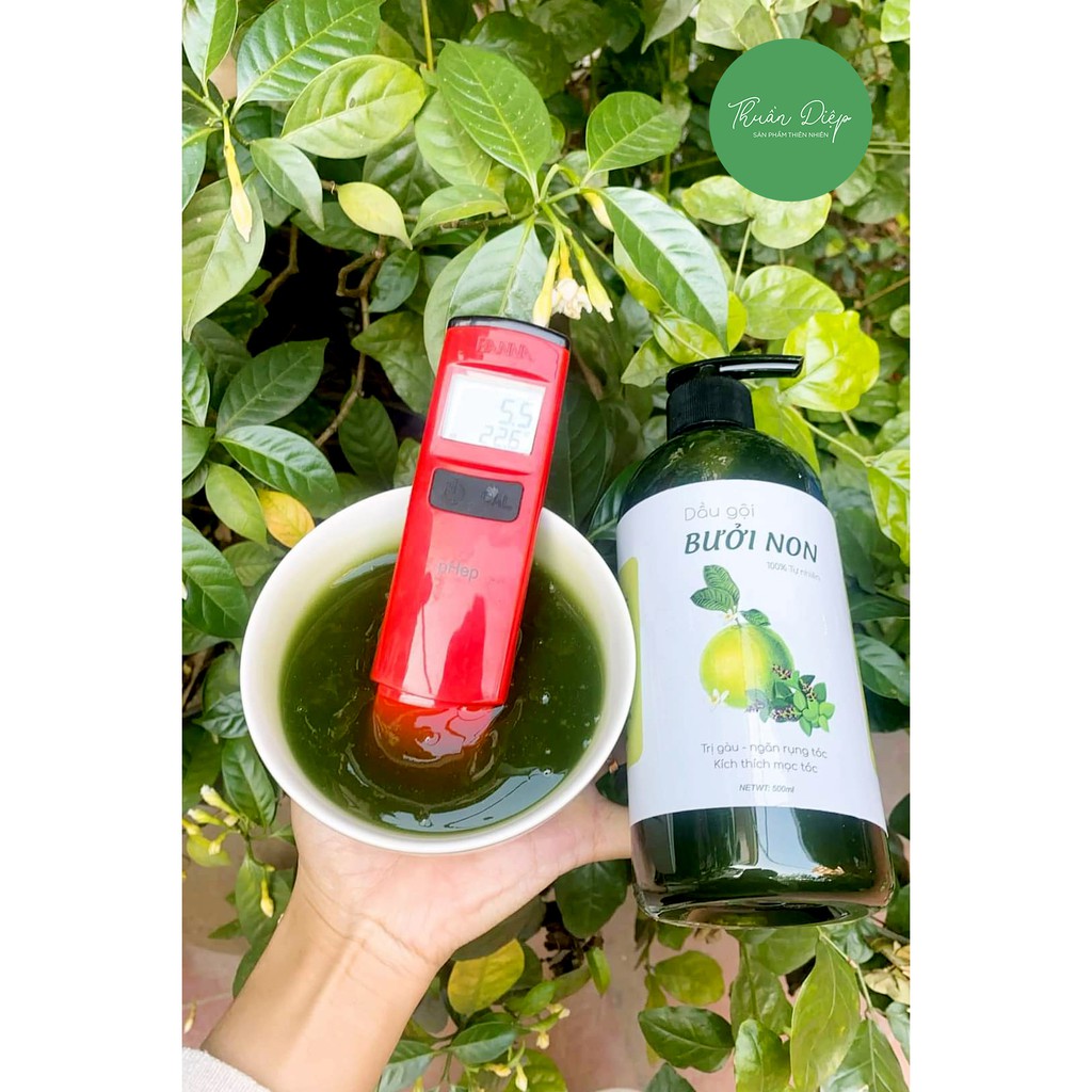 [Nhập mã THUA250BN giảm 30%] [250ml] DẦU GỘI BƯỞI NON CÔ ĐẶC [100% TỰ NHIÊN] [THUẦN DIỆP] | BigBuy360 - bigbuy360.vn