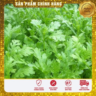 Hạt Giống Cải Cúc Nếp(20gr)