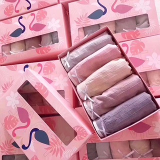 Set quần lót cotton