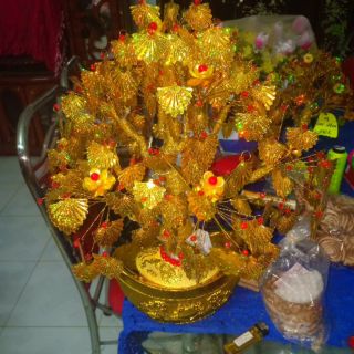 combo 4 cây kim tiền V2, thu hút tài lộc, phong thủy.