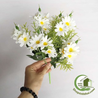 Bụi hoa cúc lùn 6 nhánh màu trắng nhị vàng - hoa vải nhiều cánh, lá xanh xum xuê - bụi cao 33cm