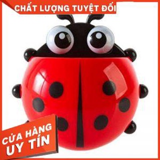 Bọ rùa leo tường đựng đồ đa năng