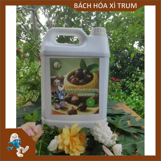 Kiến Vàng Nguyên Chất, Chai 5000ml - Tẩy Rửa Đa Năng, Dùng Để Tắm, Rửa Bát, Lau Nhà, Giặt Quần áo.