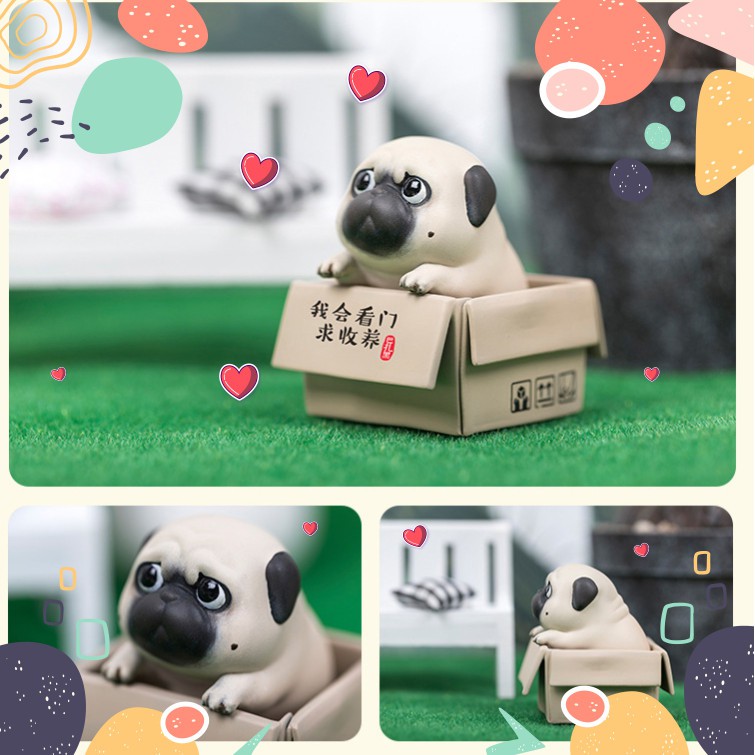 Set 5 mô hình chó pug mèo hoàng thượng biểu cảm bất lực đứng ị trong chậu trong hộp kèm phụ kiện để bàn dễ thương cute