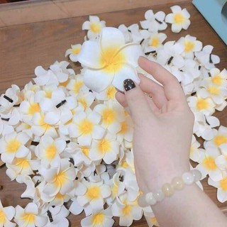 KẸP TÓC HOA ĐẠI - KẸP TÓC HOA SỨ (kèm ảnh thật)