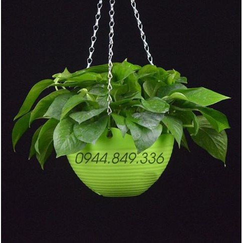 CHẬU TREO ĐẸP
