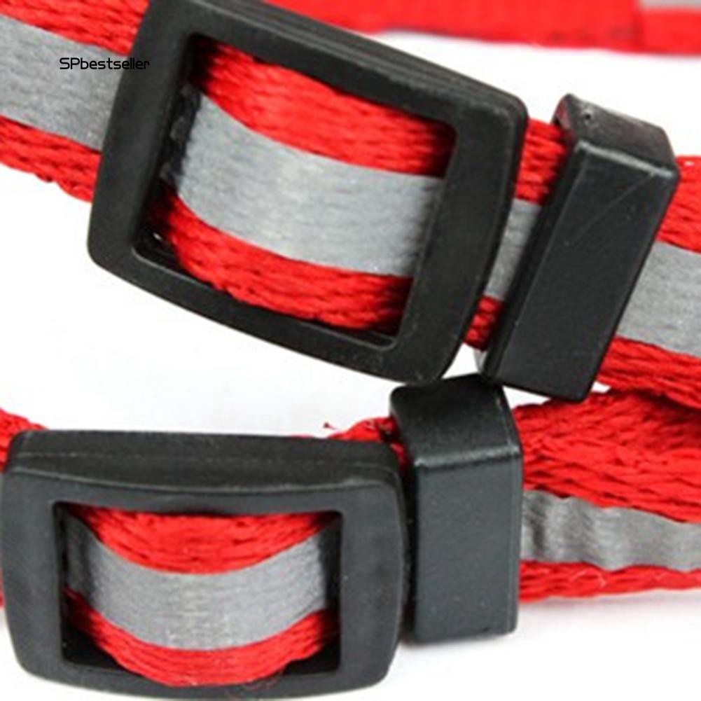 Dây đeo dắt thú cưng đi dạo thoải mái