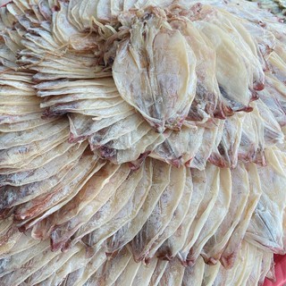 1 Kg mực mini 100 con/ kg
