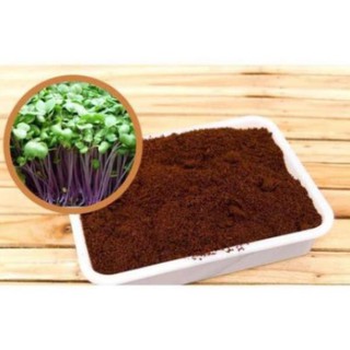 1 Kg Đất Sạch Trồng Cây Siêu Dưỡng