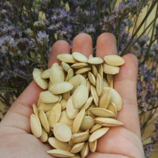 Hạt bí sạch rang tay 500g - 1kg