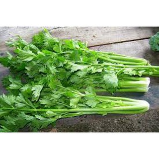 HẠT GIỐNG RAU CẦN TÂY GÓI 5GRAM