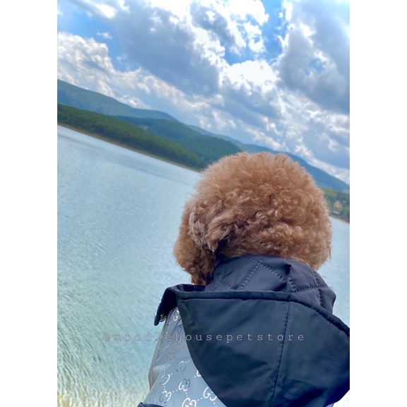 ÁO KHOÁC PHAO GUCCI PHẢN QUANG