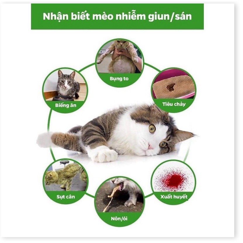 [Mã giảm giá] Drontal Cat - Viên hỗ trợ tiêu hoá cho mèo 🐈