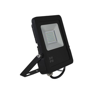 Đèn chiêu  pha LED 30W Rạng Đông - Hàng chính hãng