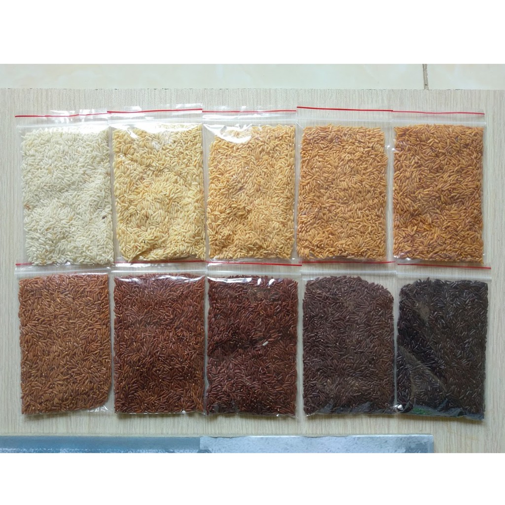 Combo làm tranh gạo Hai cô gái bên sông