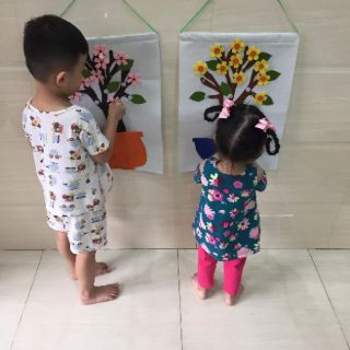 CHẬU MAI/ ĐÀO KỸ NĂNG