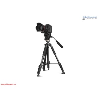 Chân máy ảnh tripod Beike Q111S