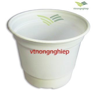 Chậu nhựa trồng cây hoa CH 15x12cm