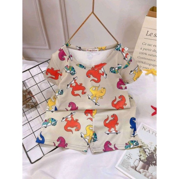 XẢ LỖ NGHỈ BÁN - Bộ cotton in hình 3D ngộ