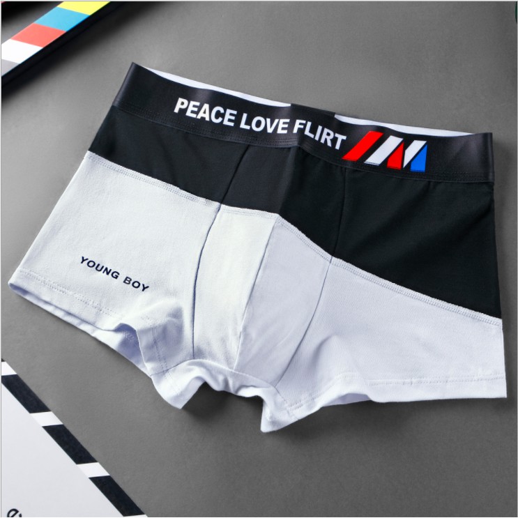 Quần lót nam kháng khuẩn khử mùi, sịp xì đùi cotton cao cấp sexy M02