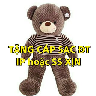 ( GIÁ SOCK ) Gấu Teddy khổ vải may 1m9