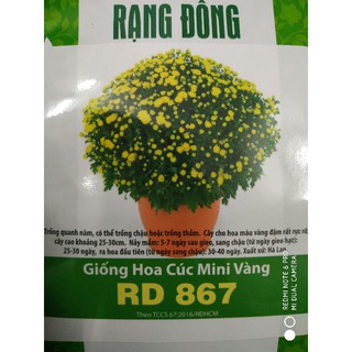Hạt giống Hoa Cúc Mini vàng ❤️FREESHIP XTRA❤️