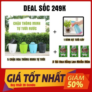Combo chậu hoa cheo thông minh kèm bình xịt tưới cây kèm 3 túi Hạt Giống