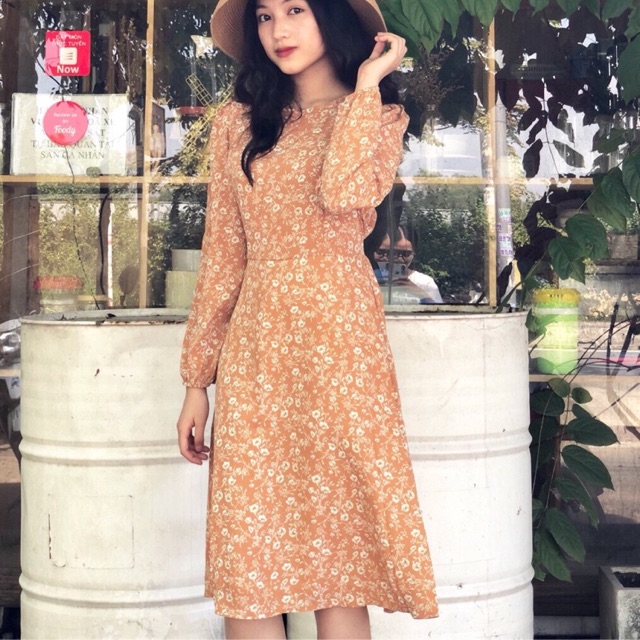 ĐẦM CAM HOA NHÍ NƠ LƯNG