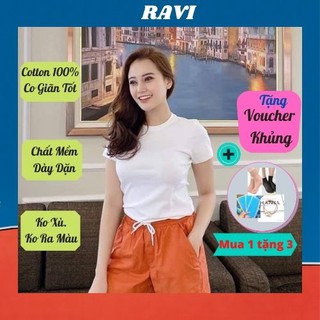 Áo Phông Nữ Cổ Tròn Cotton 100% Kháng Khuẩn Không Xù Lông
