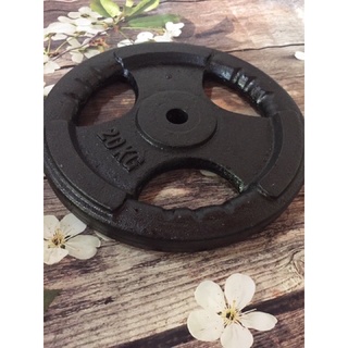 Bộ 2 bánh tạ 20kg  phi 50
