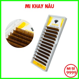 Mi khay nâu tây nhiều size