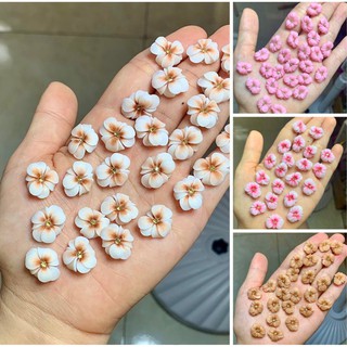 Hoa bột Nail - Hoa bột gắn móng nail