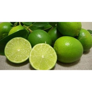 Hạt giống cây chanh ta