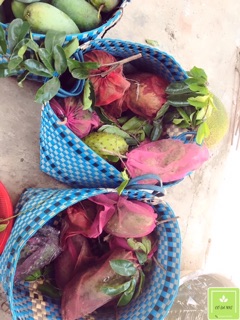 Trà Mãng Cầu Thơm Ngon