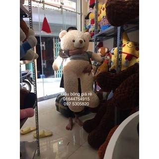 Gấu bông teddy