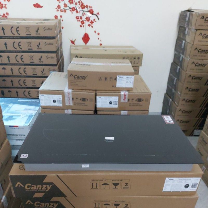 Bếp Từ Tiết Kiệm Điện inverter CANZY CZ08i New 2022