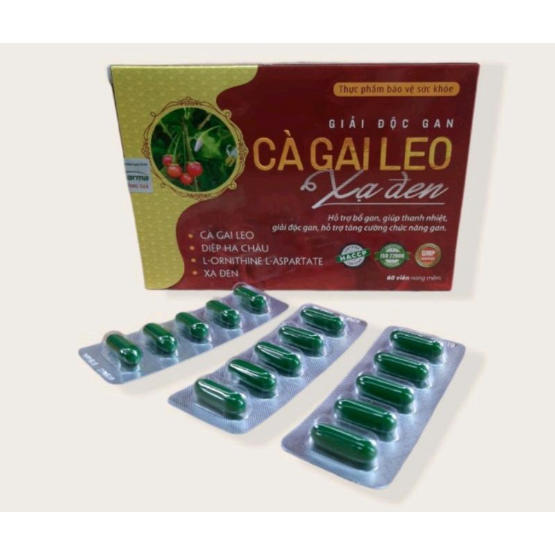 《Date 2025-hộp 60 viên》0Giải độc gan CÀ GAI LEO XẠ ĐEN , Bổ gan cà gai leo giúp mát gan,hạ men gan
