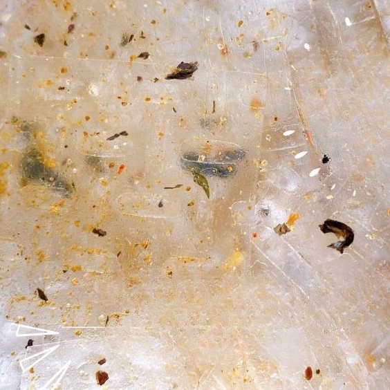 Bánh Tráng Rong Biển Tây Ninh, Bánh Tráng Chay Mặn Đều Dùng Được  - Bánh Tráng Tây Ninh - Vansi2hand