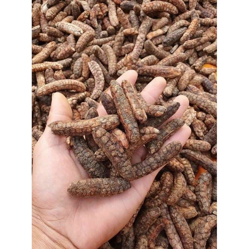 Chuối hột rừng nguyên trái, chuối hột khô, chuối hột ngâm rượu