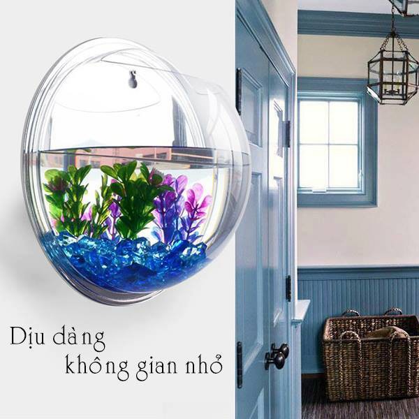 Bể cá treo tường AQUARIUS - Đường kính 23.5cm