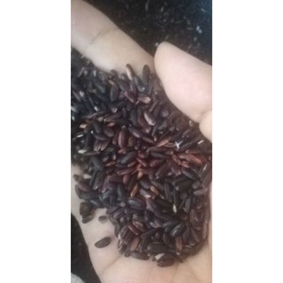 nếp cẩm nương điện biên