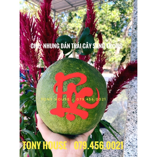 [TẾT] 4 DECAL DÁN DƯA HẤU / TRÁI CÂY SIÊU SANG TRỌNG - CÓ KEO DÁN SẴN🍎 | BigBuy360 - bigbuy360.vn