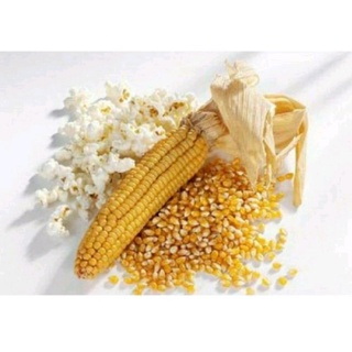 BẮP MỸ LÀM BẮP RANG BƠ 500g